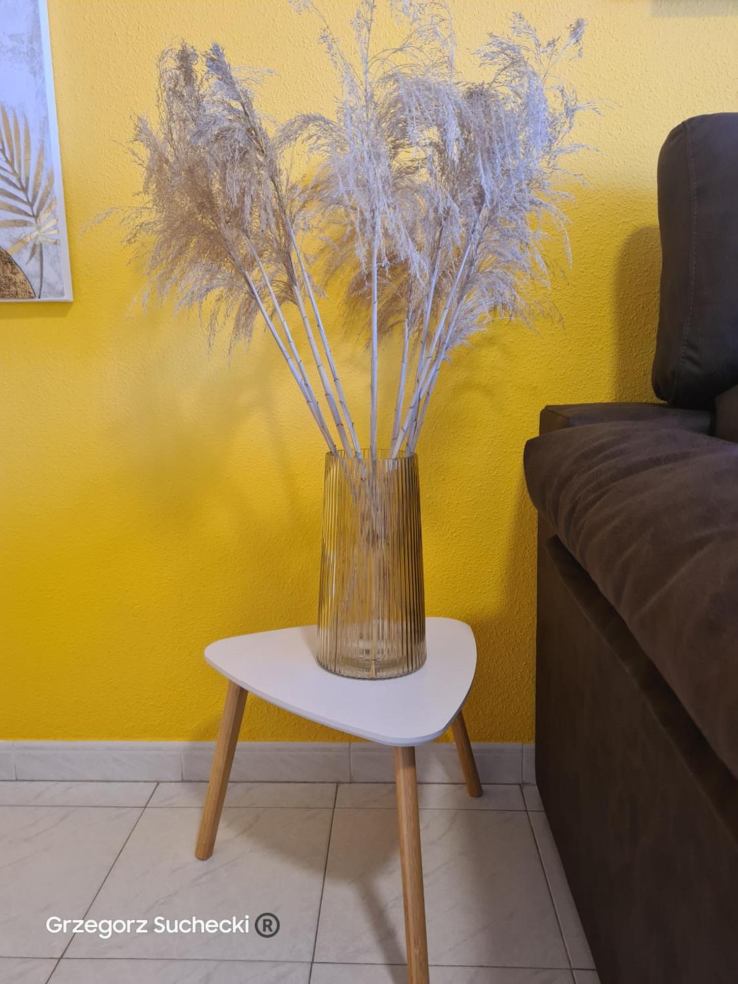 Apartamento Parquemar La Mata (Torrevieja) Exterior foto